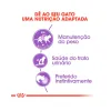 Ração Úmida Royal Canin Pedaços ao Molho Sachê para Gatos Adultos Castrados 85 g