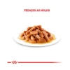 Ração Úmida Royal Canin Sachê Pedaços ao Molho Cuidado Digestivo para Gatos Adultos - 85 g